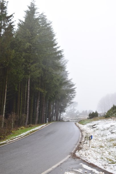 冬天的艾菲尔路图片下载