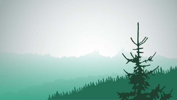 高山景观和针叶树图片下载