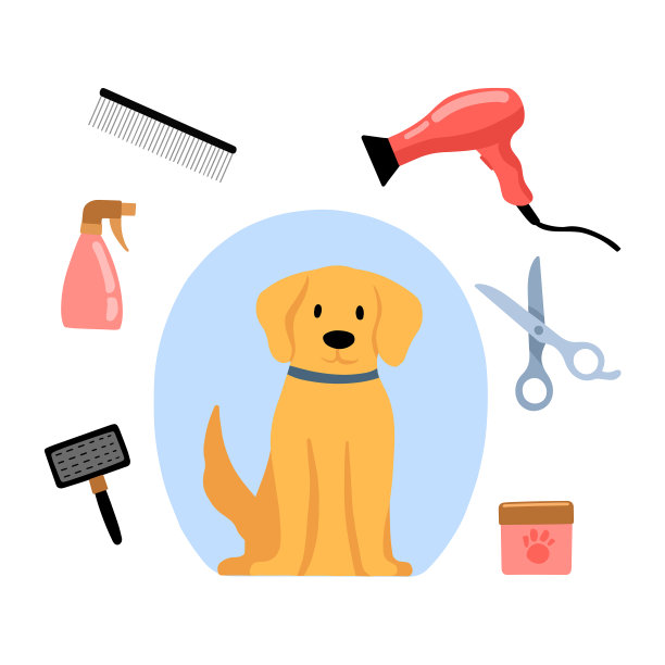 在宠物美发沙龙卡通造型和梳理专业理发师。狗和工具-吹风机，剪刀，梳子，洗发水。设计海报，横幅，传单，网页，模型，商业，公司。图片下载