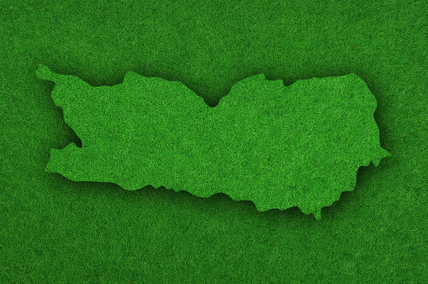 绿色毛毡上的卡林西亚地图图片下载