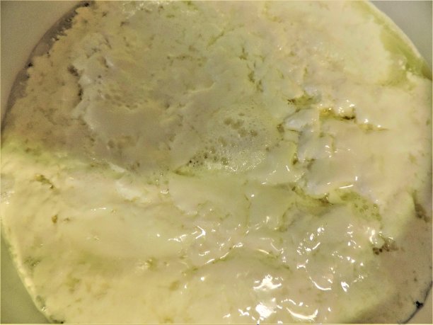 日本。12月。自制的奶酪。特写镜头。图片下载