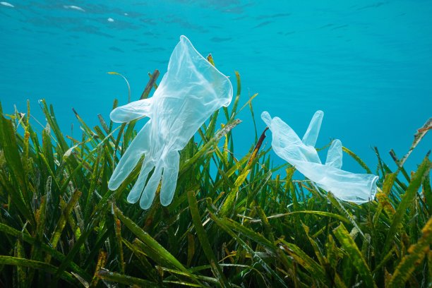 一次性手套中的塑料垃圾图片下载