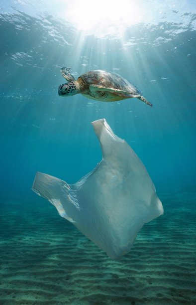 塑料污染水下袋与海龟图片下载