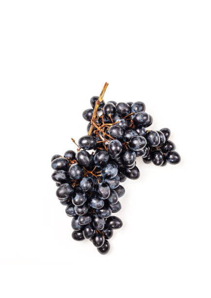 新鲜的深蓝紫色葡萄孤立在白色背景。图片下载
