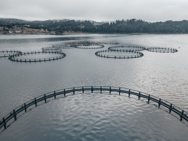 钓鱼。鸟瞰一个大型养鱼场与许多鱼围栏，正上方。图片下载