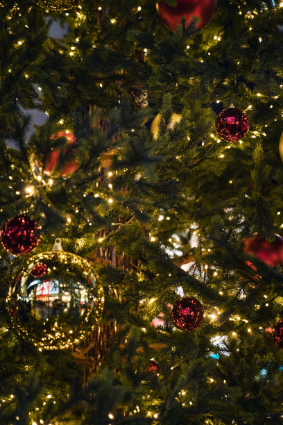 圣诞装饰图片下载