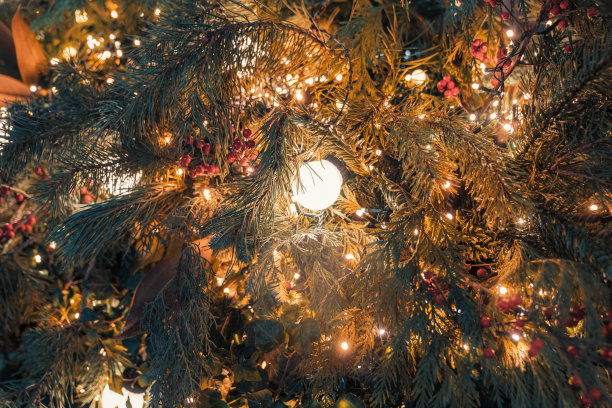 圣诞装饰图片下载