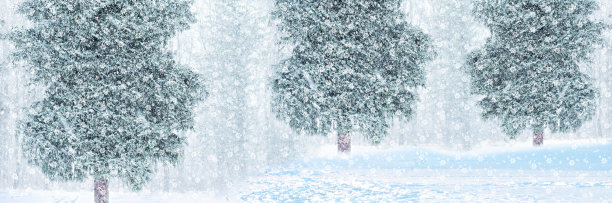 冬天是神话般的森林暴风雪，宽屏背景。艺术设计,横幅图片下载