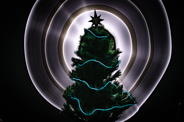 用星星装饰的圣诞树图片下载