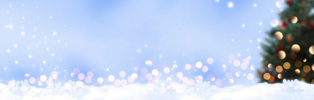 冬季背景设计理念与圣诞树图片下载