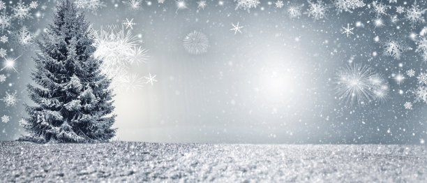 冬季背景设计理念与圣诞树图片下载