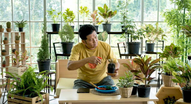 这个年轻人把业余时间用来照顾家里花园里的树木作为一种业余爱好图片下载