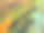 green-yellow纹理。黄色和绿色颜料在画布上的应用。创意绘画。质地不均，体积大。画布上一波又一波的颜料。背景图片下载