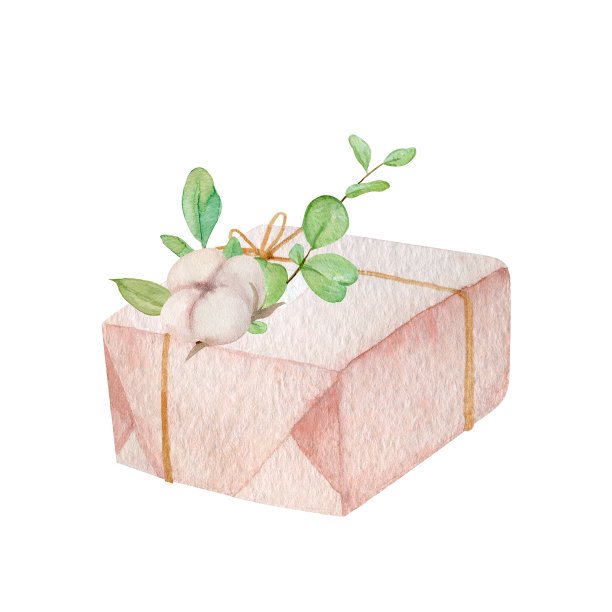 礼品包装饰用棉花和桉树水彩画的插图。图片下载