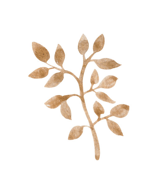 波西米亚风格的水彩植物图片下载