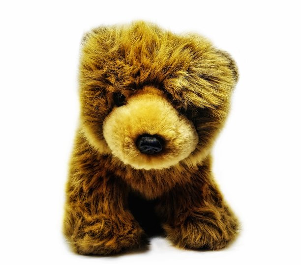 泰迪熊图片下载