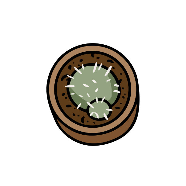 仙人掌涂鸦俯视图。可爱的卡通多肉植物图标形象。Hygge形象孤立在白色背景标志。媒体图形符号图片下载