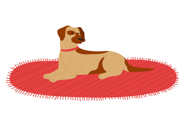 狗躺在地毯上休息孤立的白色背景，家宠物放松在柔软的覆盖图片下载