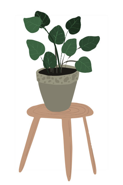 手绘热带室内植物。斯堪的纳维亚风格插画，现代优雅的家居装饰。设计花。图片下载