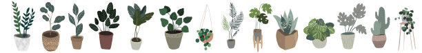 一套hygge盆栽多肉植物。舒适lagom斯堪的纳维亚风格的植物收集图片下载