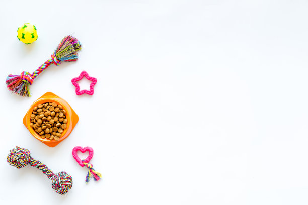 狗的玩具，干粮和配件，俯视图图片下载