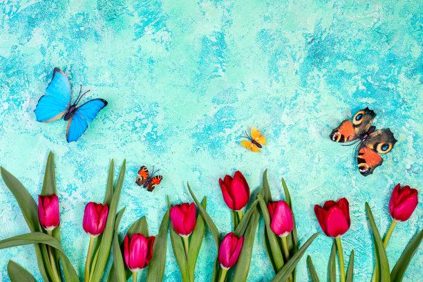 红色的郁金香和飞舞的蝴蝶。图片下载