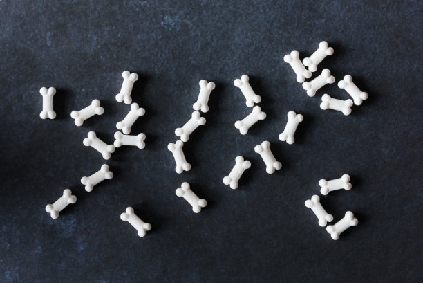 糖果骨头填充框架图片下载