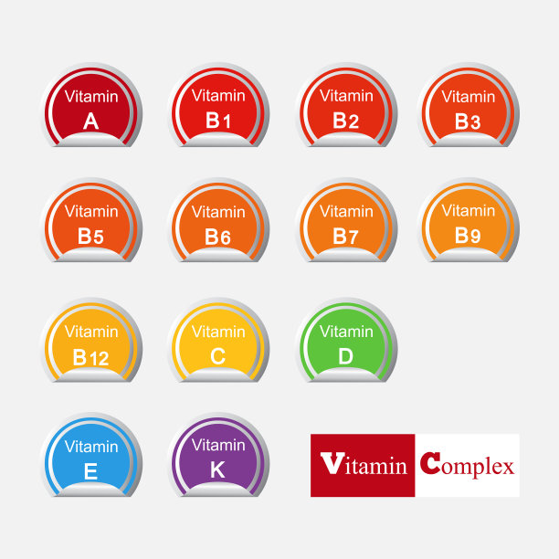 设置主要维生素饮食海报信息图表图片下载