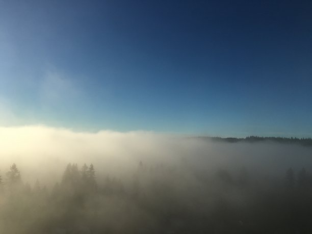 多雾的早晨图片下载