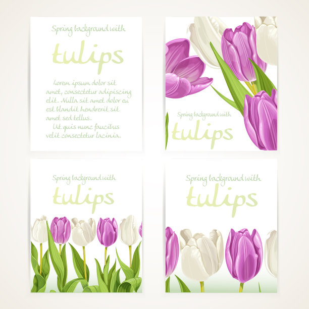 粉红色和白色的郁金香在四个垂直空白图片下载