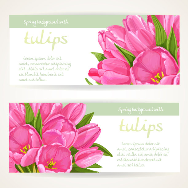 两个水平的春天横幅上有粉红色的郁金香图片下载