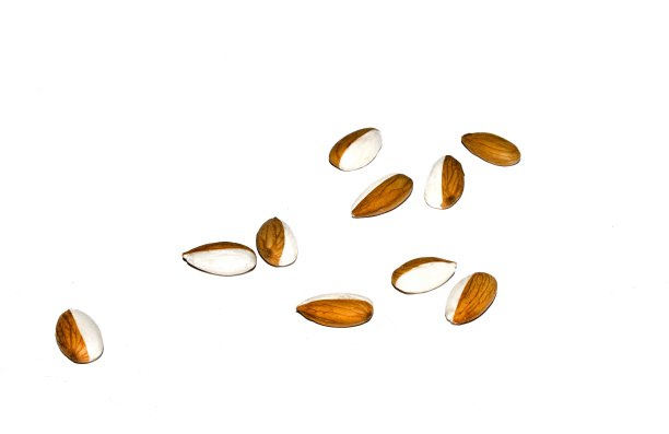 一组半剥皮的湿杏仁孤立在白色上。图片下载