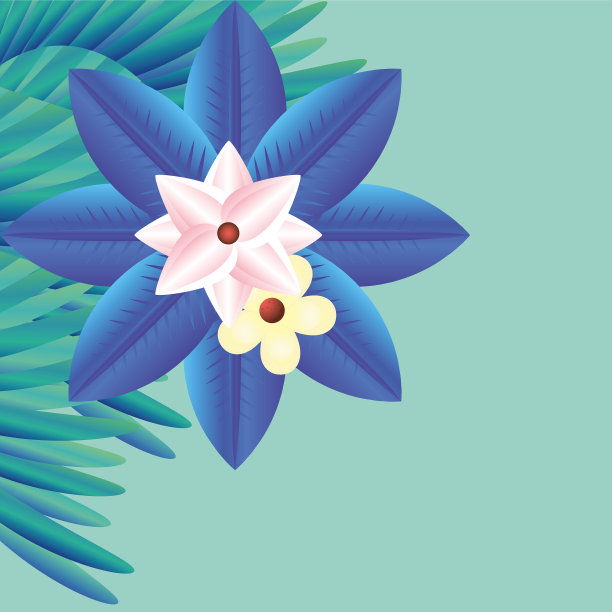 美丽的背景夏日鲜花模板图片下载