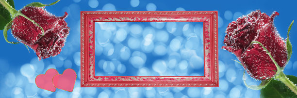 气泡和相框中的玫瑰花，天空背景和散景图片下载