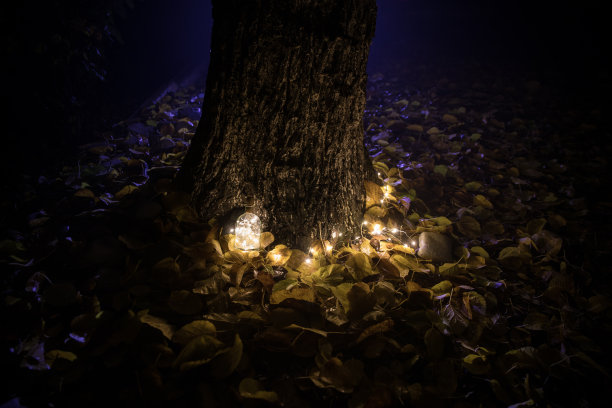 魔法仙尘药水在瓶子里的森林图片下载