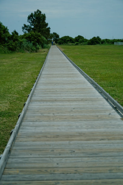 木制栈道在夏天淹没了明亮的阳光图片下载