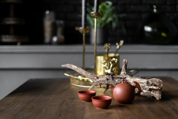 带有现代室内设计的公寓物品图片下载