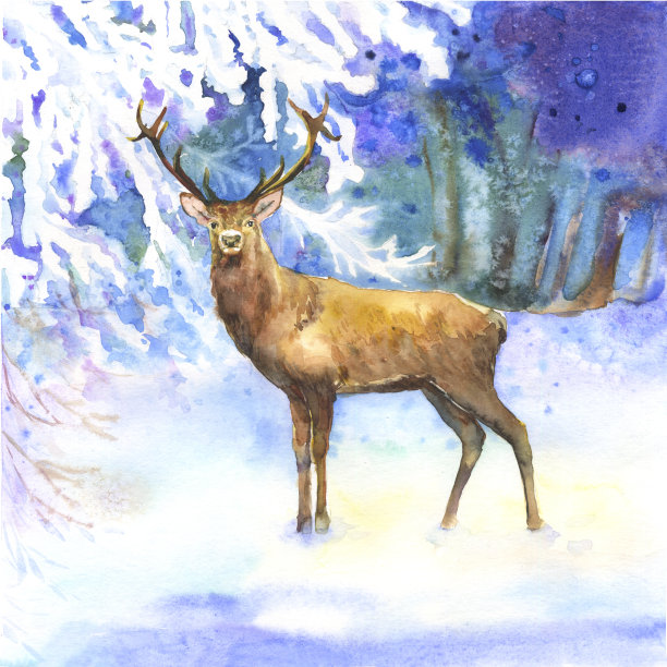 有大鹿角的鹿，在冬季积雪的森林中被照亮的空地上。冬天的背景是白雪覆盖的树枝，美丽的蓝色风景和棕色明亮的驯鹿。水彩圣诞图片图片下载