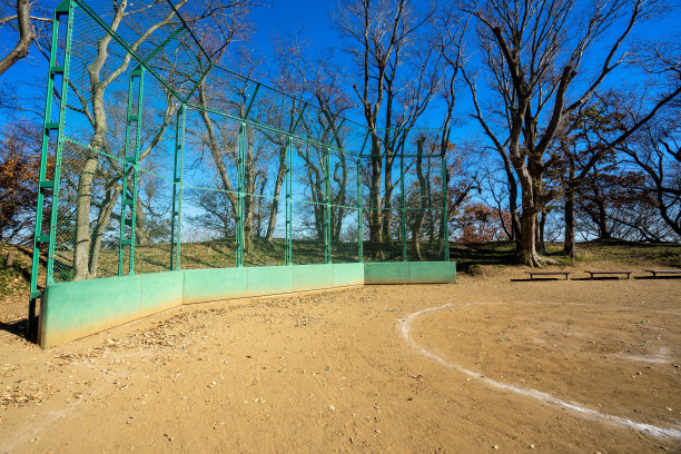 郊区公园的棒球场图片下载