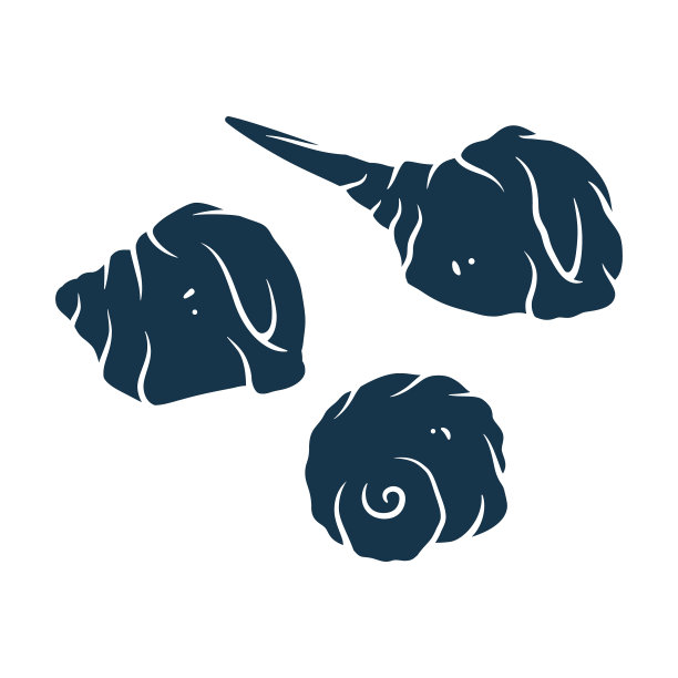 海岸野生贝壳类软体动物剪影图片下载