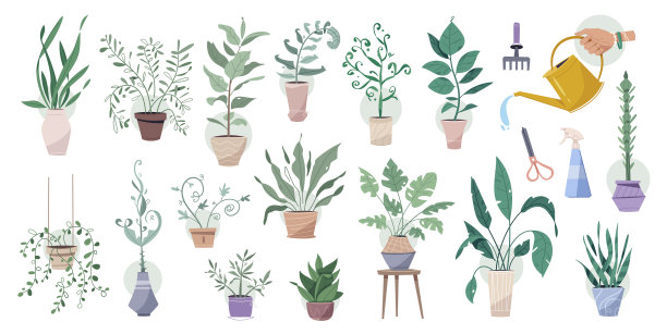 绿色植物在花盆与园艺工具大套图片下载