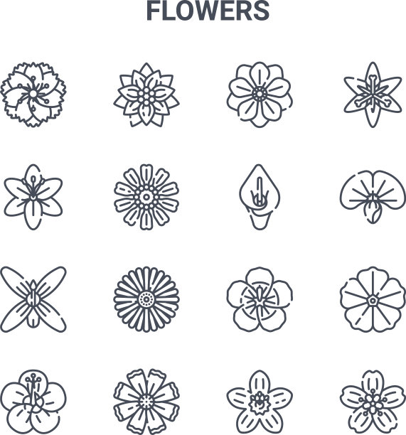 设置16花概念线图标64x64薄图片下载