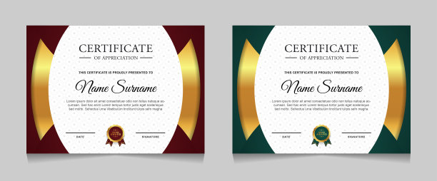 一套成就证书边界设计模板与元素的豪华金章和现代线条模式。矢量图形打印布局图片下载