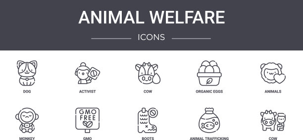 动物福利概念线图标集包含图片下载