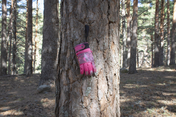 手套上的树图片下载
