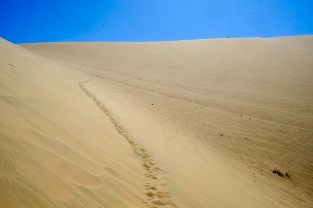 沙漠绿洲Huacachina图片下载