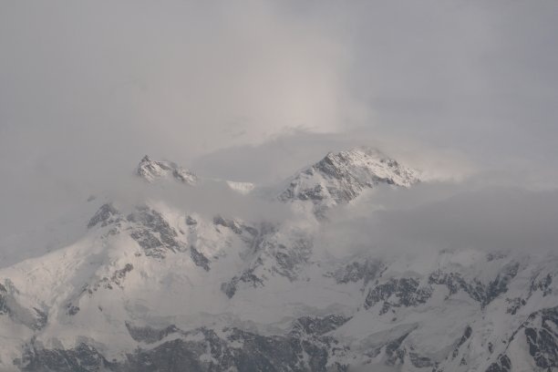 仙人草地景观图片下载