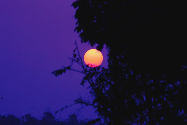 黄昏时晴朗的太阳图片下载