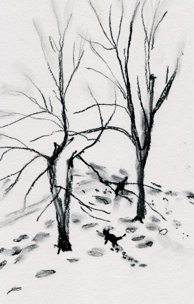 从窗口图片下载