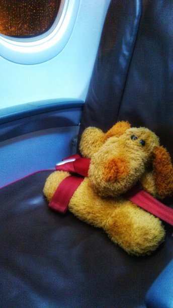 狗玩具在客舱有座位图片下载